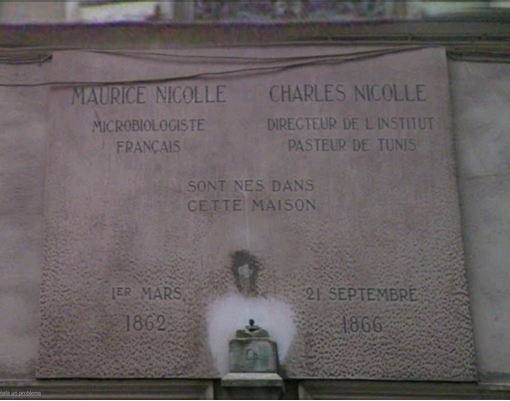 Charles Nicolle's birthplace, Rouen - 3.png